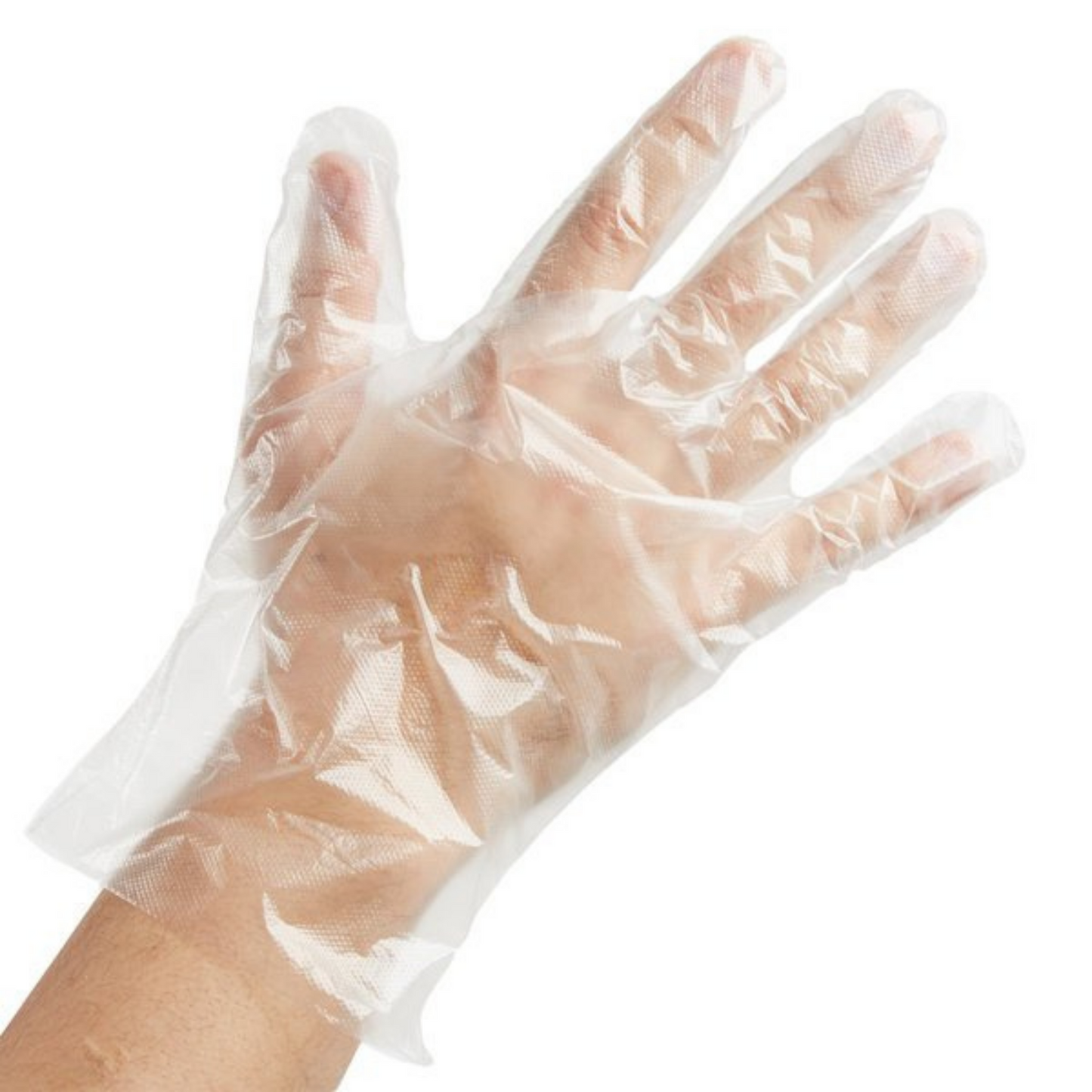 Deli Gloves - box of 500 - Lion Healthcare Solutions Inc