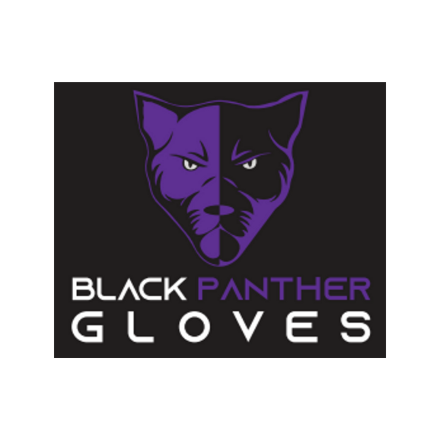 Black Panther 8-mil Nitrile Gloves - All sizes (50 pcs/box) - Lion Healthcare Solutions Inc