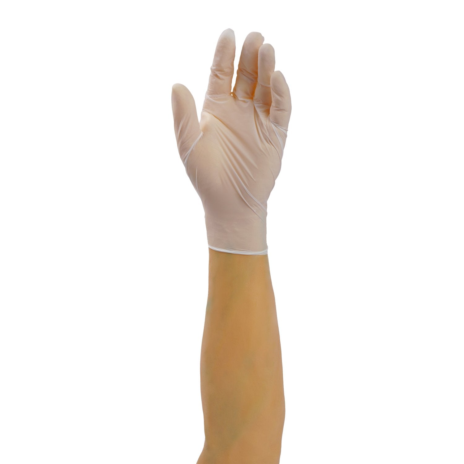 Vinyl Gloves (100 pcs/box) - Lion Healthcare Solutions Inc